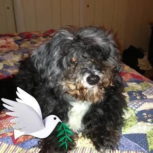 Meet your Posher, Patricia